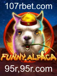 Descubra o Mundo Fascinante de FunnyAlpaca